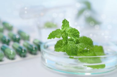 植物elisa試劑盒實驗原理與產(chǎn)品說明簡介 植物elisa試劑盒實驗原理與產(chǎn)品說明簡介
