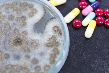 小鼠elisa試劑盒價格一般是多少？文章配圖1