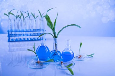 液相色譜串聯(lián)質(zhì)譜-植物激素檢測(cè)代測(cè)服務(wù)說(shuō)明圖1 液相色譜串聯(lián)質(zhì)譜-植物激素檢測(cè)代測(cè)服務(wù)說(shuō)明圖1