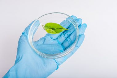 液相色譜串聯(lián)質(zhì)譜-植物激素檢測(cè)代測(cè)服務(wù)說(shuō)明圖2 液相色譜串聯(lián)質(zhì)譜-植物激素檢測(cè)代測(cè)服務(wù)說(shuō)明圖2
