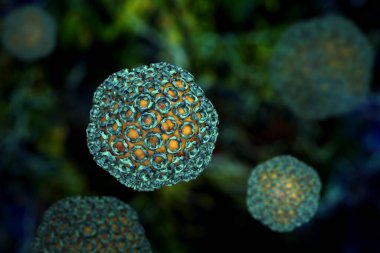 生物胺類檢測(cè)在高效液相色譜法中的應(yīng)用圖1 生物胺類檢測(cè)在高效液相色譜法中的應(yīng)用圖1