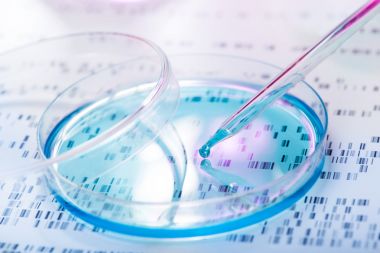 超氧陰離子(OFR)含量檢測(cè)試劑盒圖2 超氧陰離子(OFR)含量檢測(cè)試劑盒圖2