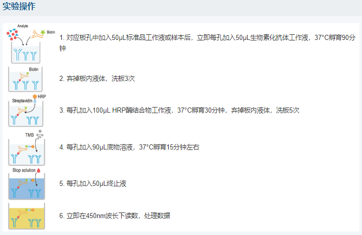 人視黃醇結合蛋白4(RBP4)酶聯(lián)免疫吸附測定試劑盒圖6 人視黃醇結合蛋白4(RBP4)酶聯(lián)免疫吸附測定試劑盒圖6