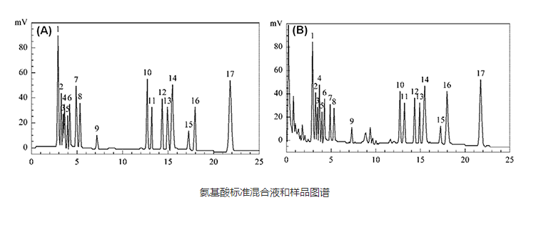 LCMS氨基酸檢測圖譜報(bào)告 LCMS氨基酸檢測圖譜報(bào)告